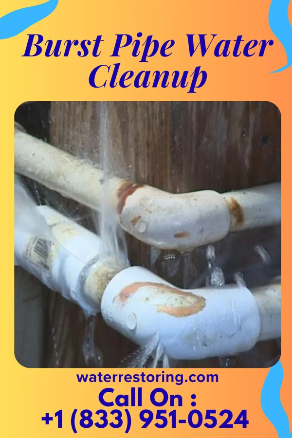 Burst Pipe Water Cleanup in Cherry Branch, NC
