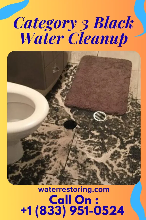 Category 3 Black Water Cleanup in Cherry Branch, NC