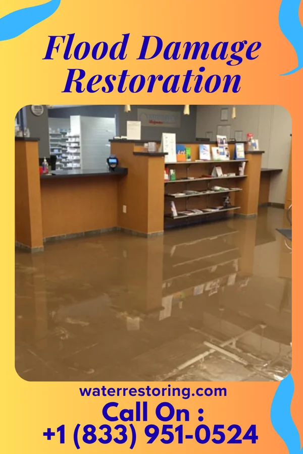 Flood Damage Restoration in Cherry Branch, NC