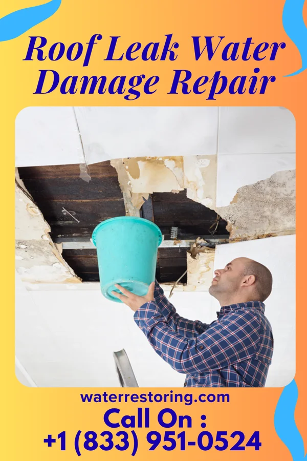 Roof Leak Water Damage Repair in Cherry Branch, NC