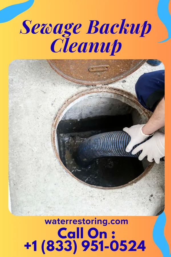 Sewage Backup Cleanup in Cherry Branch, NC