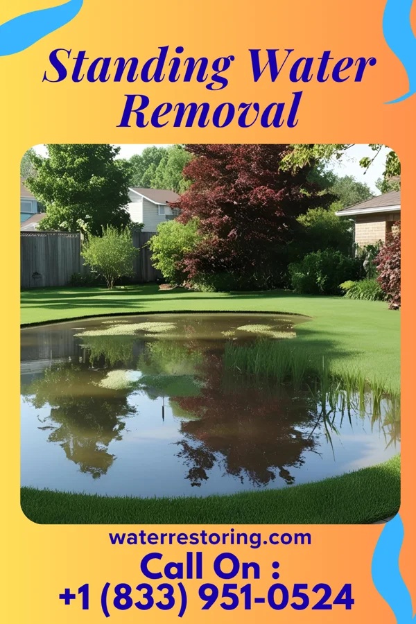 Standing Water Removal in Cherry Branch, NC